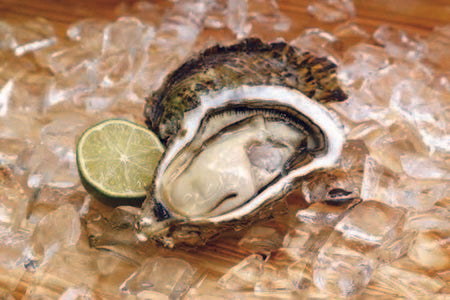 OYSTER PATE(オイスターパテ)